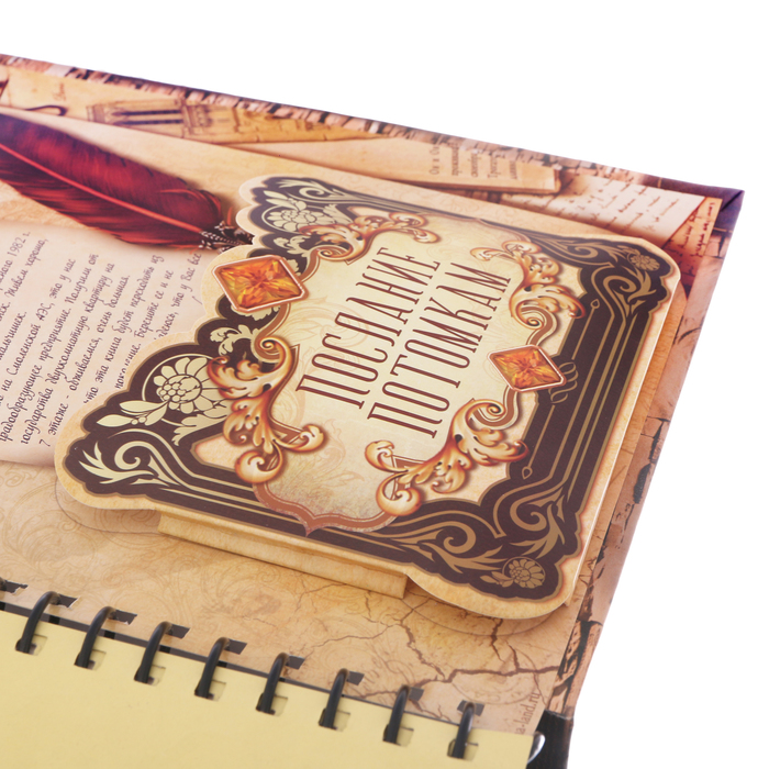 Родословная книга на кольцах "Почитай свой род", УЦЕНКА 25 х 29 см