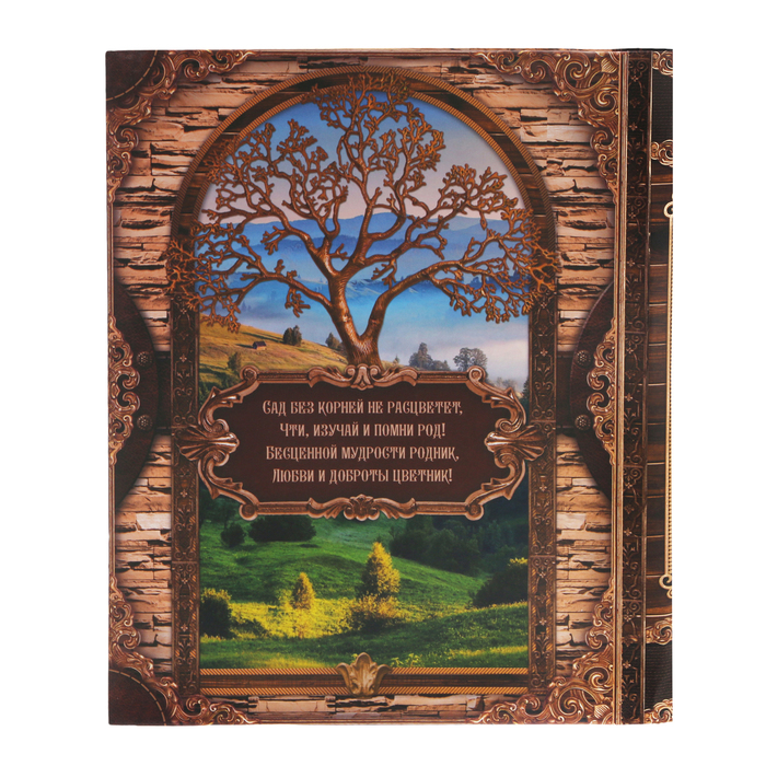 Родословная книга на кольцах "Почитай свой род", УЦЕНКА 25 х 29 см