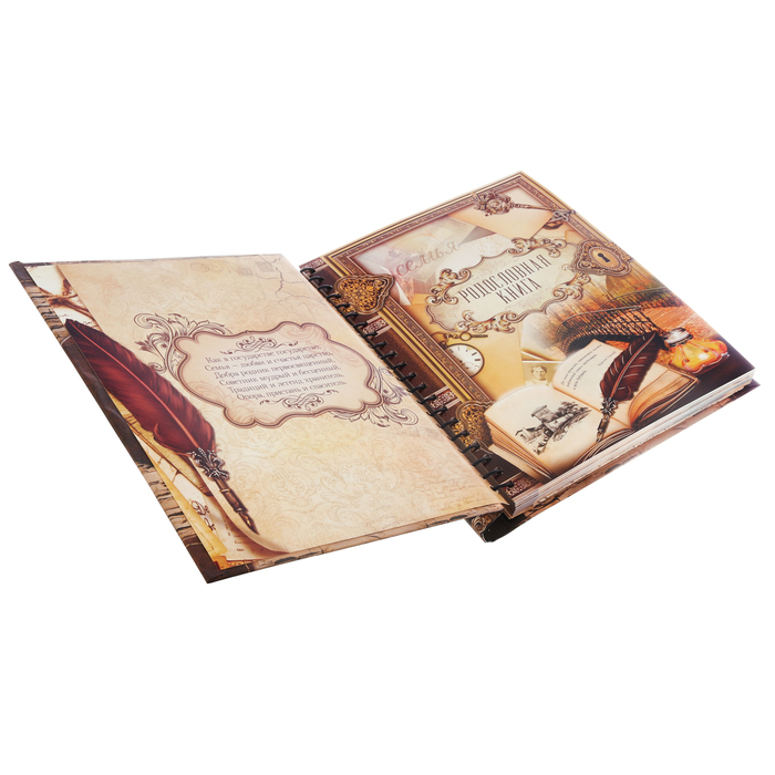 Родословная книга на кольцах "Семейное древо", УЦЕНКА 25 х 29 см