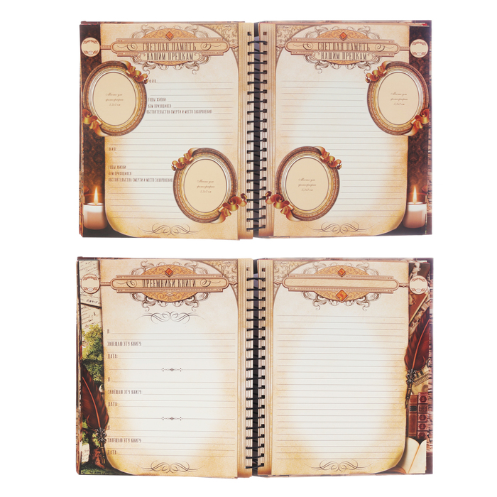 Родословная книга на кольцах "Чтите традиции", УЦЕНКА 25 х 29 см