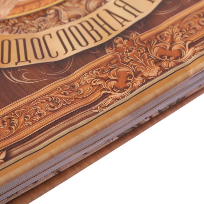 Родословная книга на кольцах "Чтите традиции", УЦЕНКА 25 х 29 см