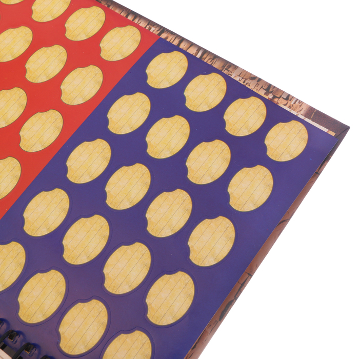 Родословная книга на кольцах "Чтите традиции", УЦЕНКА 25 х 29 см