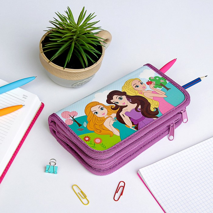 Пенал каркасный "Маленькие принцессы", 2 секции, 10,5 х 19 х 5 см
