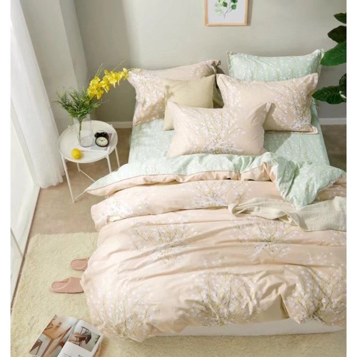 КПБ евро, 230х250 см, 200х220 см, 50х70 см, 70х70 см по 2 шт. сатин TPIG6-657