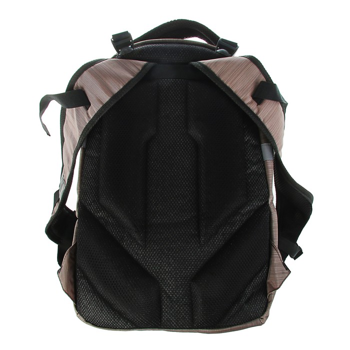 Рюкзак молодежный эргономичная спинка Luris 42*29*16 «Спринт 3», бежевый