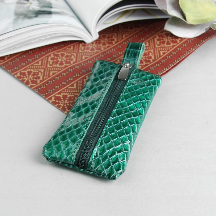 Ключница, отдел на молнии, металлическое кольцо, рептилия, цвет зелёный