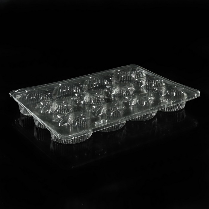 Контейнер ИП-12, h-10 ракушка, 225*160*25 мм, 12 яч. d-50