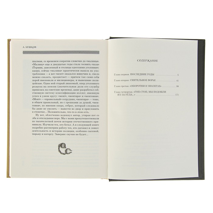 Бушков А.А. "Оборотни в эполетах" или Сиятельное ворье