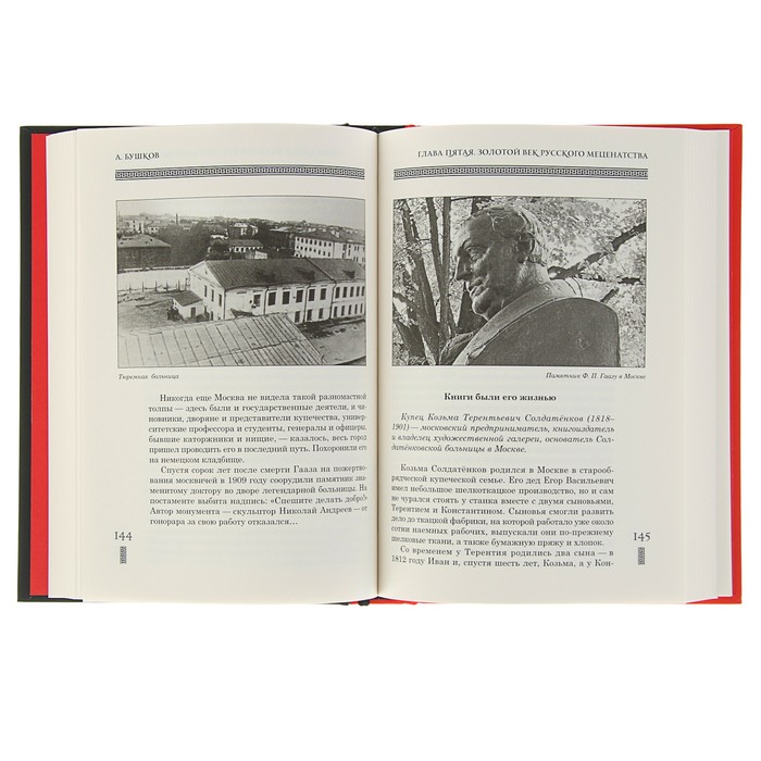 Бушков А.А. Русский Ротшильд или Хорошие были господа. История русского меценатства.