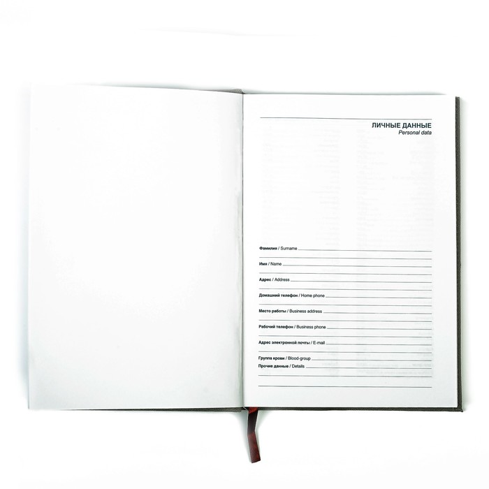 Ежедневник недат А5 140л кл,карта на форзаце,ляссе,обл пвх МИКС Соты