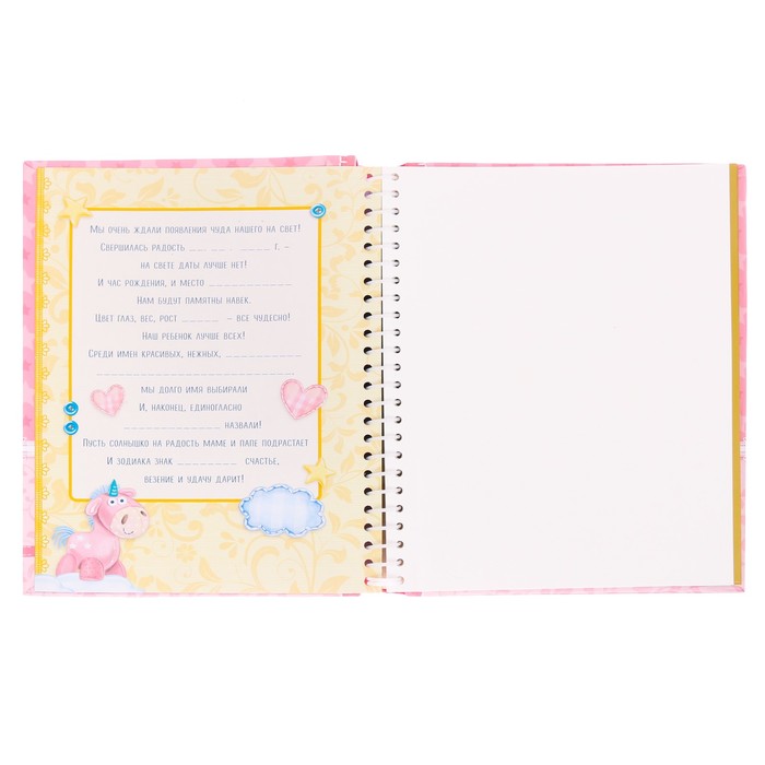 Фотоальбом "А у нас родилась дочка", 20 магнитных листов размером 20 х 28 см