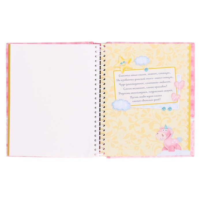 Фотоальбом "А у нас родилась дочка", 20 магнитных листов размером 20 х 28 см