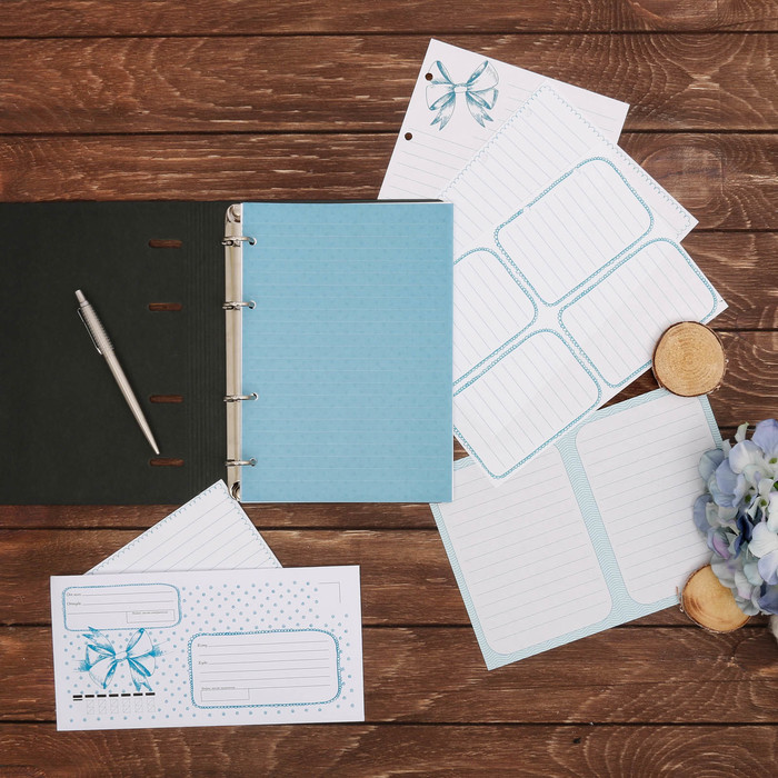 Набор многофункциональных листов и конвертов «Бантик», конверт 22 х 11 см, листы 14,8 х 21 см