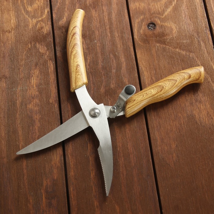 Набор кухонный, 6 предметов: 5 ножей 9/13/17/19/20 см, ножницы, на подставке, цвет светло-коричневый