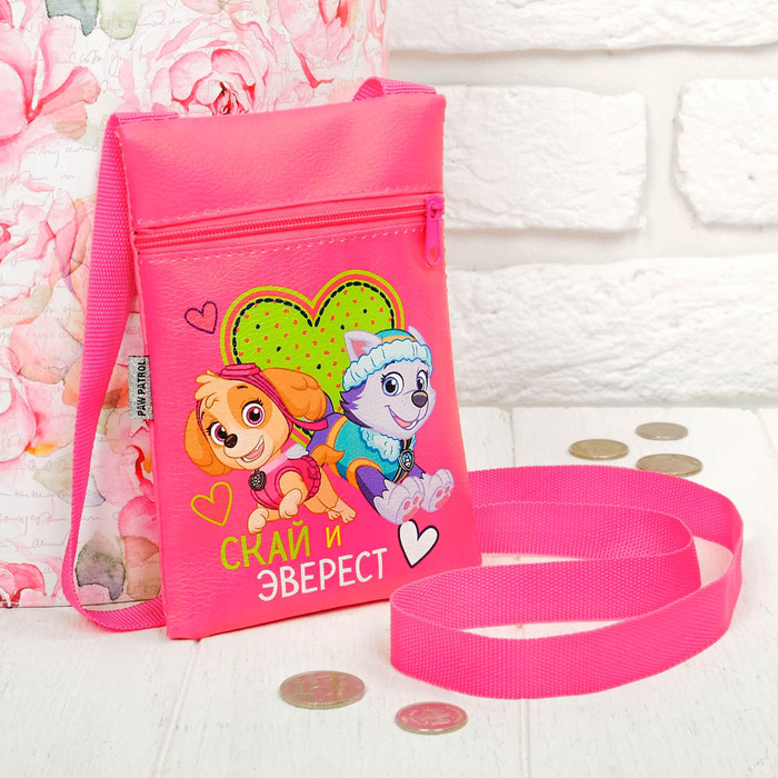 Щенячий патруль. Сумочка детская "Скай и Эверест" 16*11см