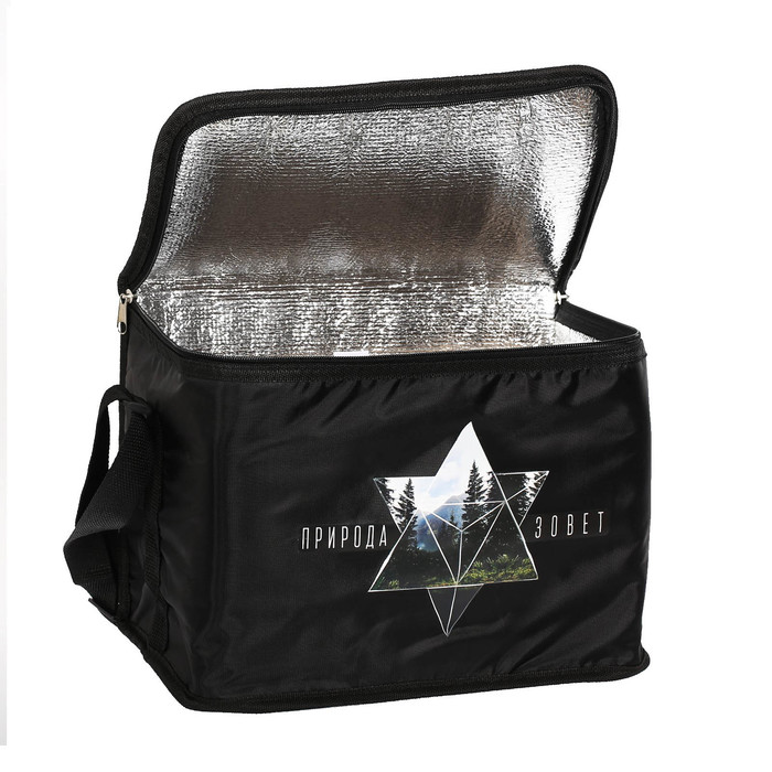 Термосумка с внутренней перегородкой "Отдых", 16 л