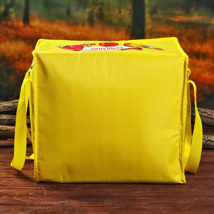 Термосумка "Для хорошей компании", 25 л