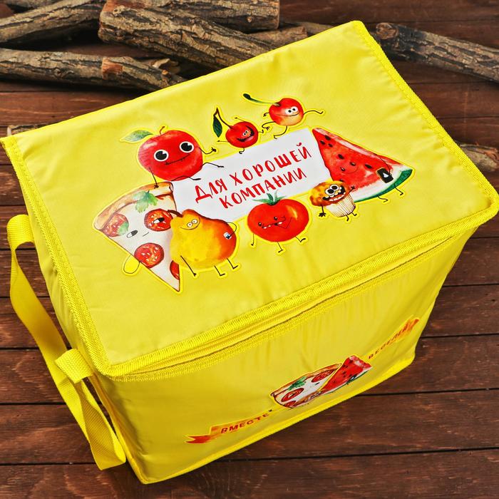 Термосумка "Для хорошей компании", 25 л