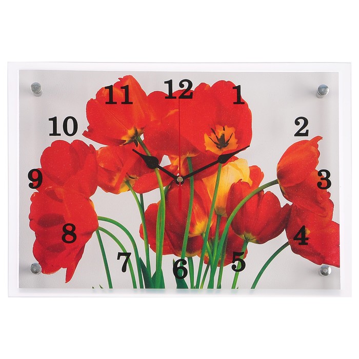 Часы настенные "Тюльпаны", 25х35 см