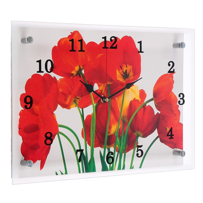 Часы настенные "Тюльпаны", 25х35 см