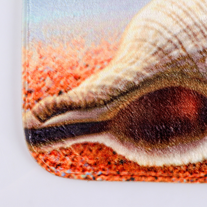 Набор ковриков для ванны и туалета Доляна «Пляж с ракушками», 2 шт: 40×50, 50×80 см