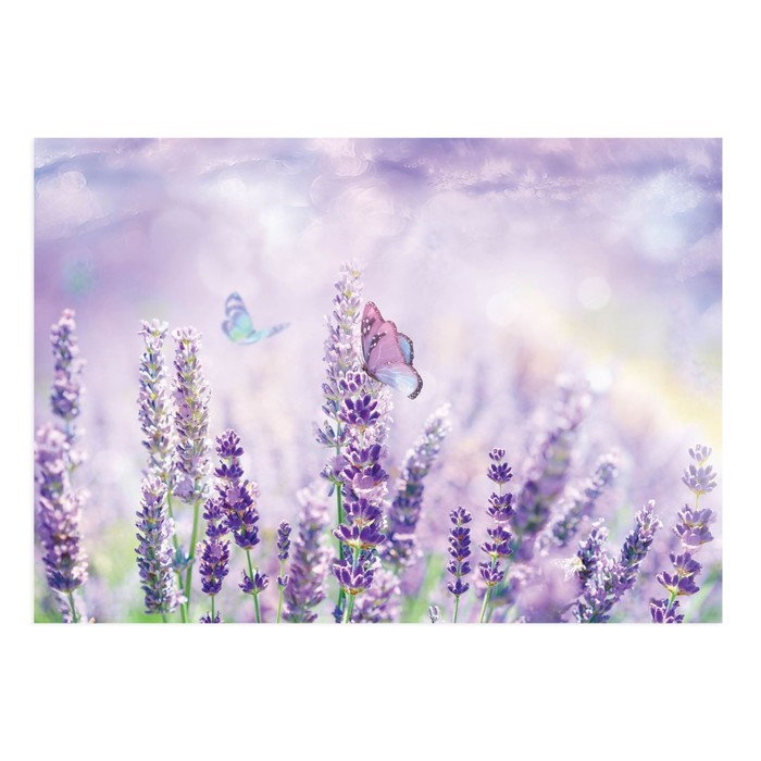 Постер А4 интерьерный «Лавандовое поле», 29 х 21 см