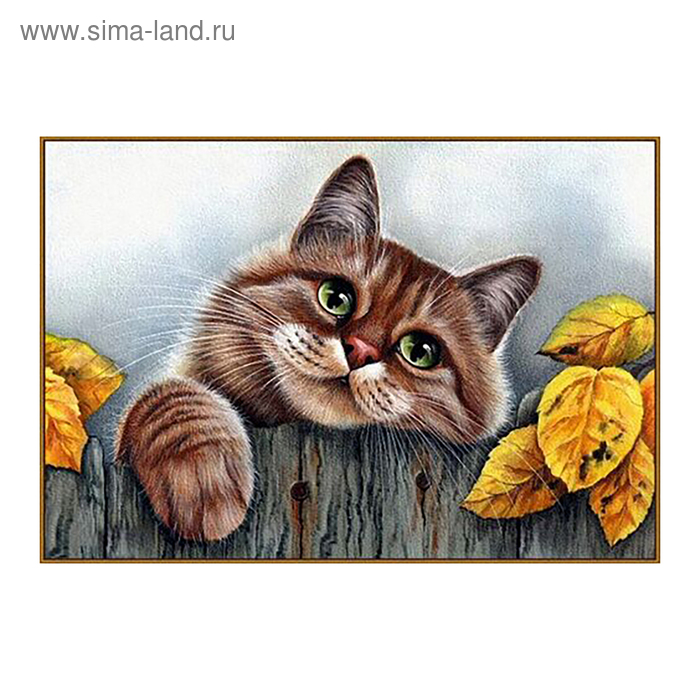 

Алмазная мозаика «Рыжий кот», 31 цвет