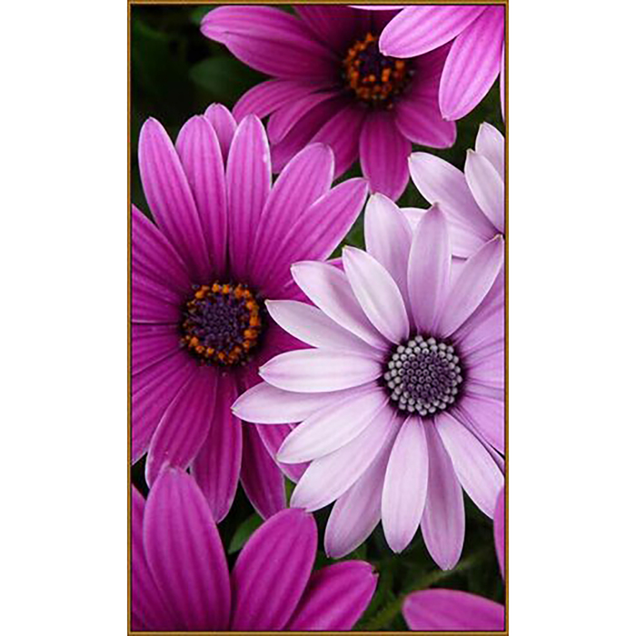 Алмазная мозаика "Цветы", 26 цветов