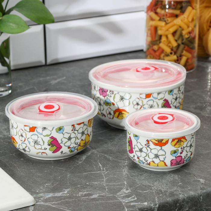 Набор салатников "Летний сад", 3 шт: 350 мл, 600 мл, 1 л, d=16/14/10/ см, с вакуумными крышками