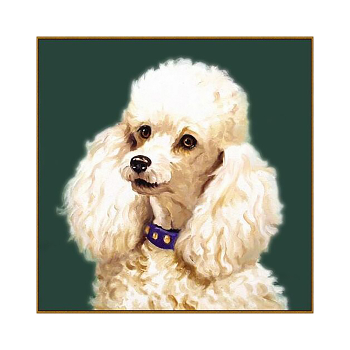Алмазная мозаика "Пудель", 25 цветов