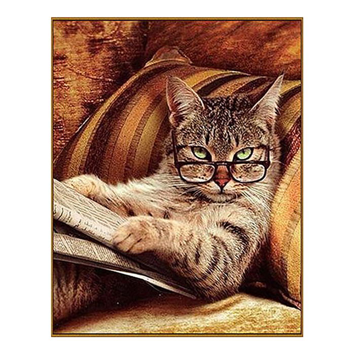 Алмазная мозаика "Книголюб", 29 цветов