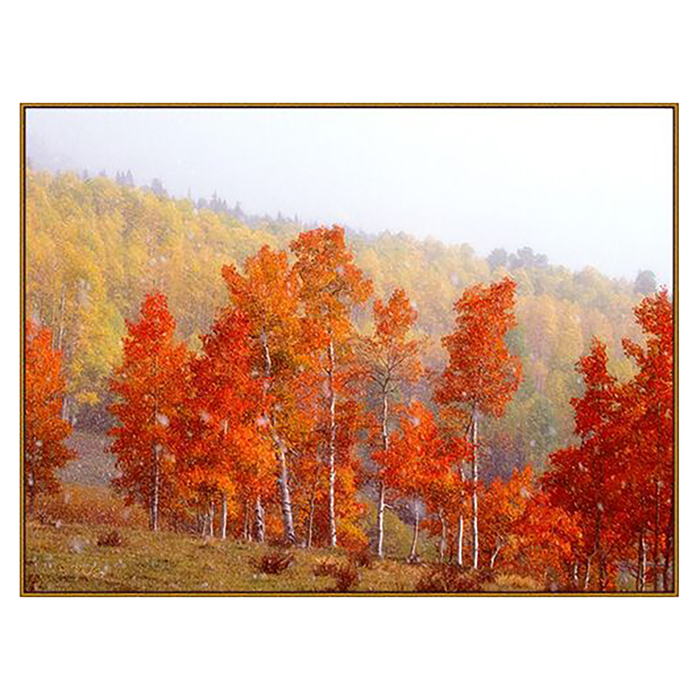 Алмазная мозаика "Осенний лес", 36 цветов