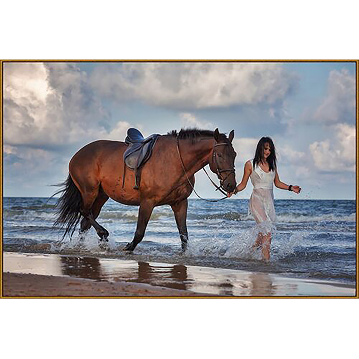 Алмазная мозаика "Морская прогулка", 30 цветов