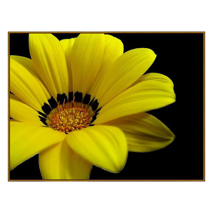 Алмазная мозаика "Жёлтый цветок", 17 цветов