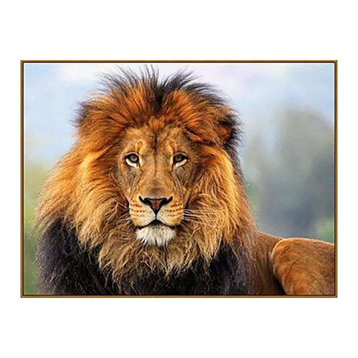 Алмазная мозаика "Царь зверей", 18 цветов