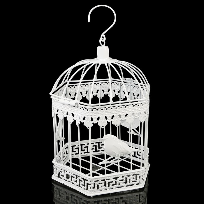 Клетка шестиугольная "Птицы", 30х18см