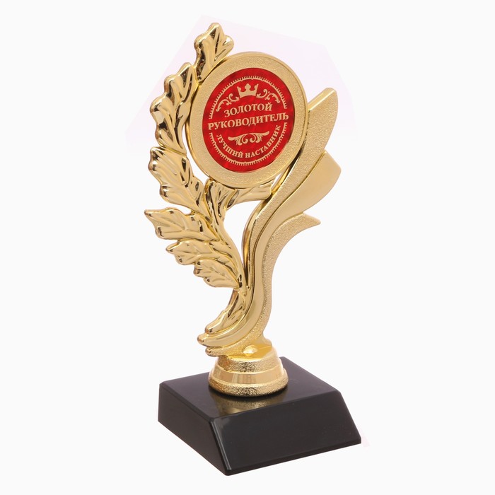 Кубок "Золотой руководитель"