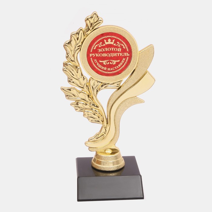 Кубок "Золотой руководитель"
