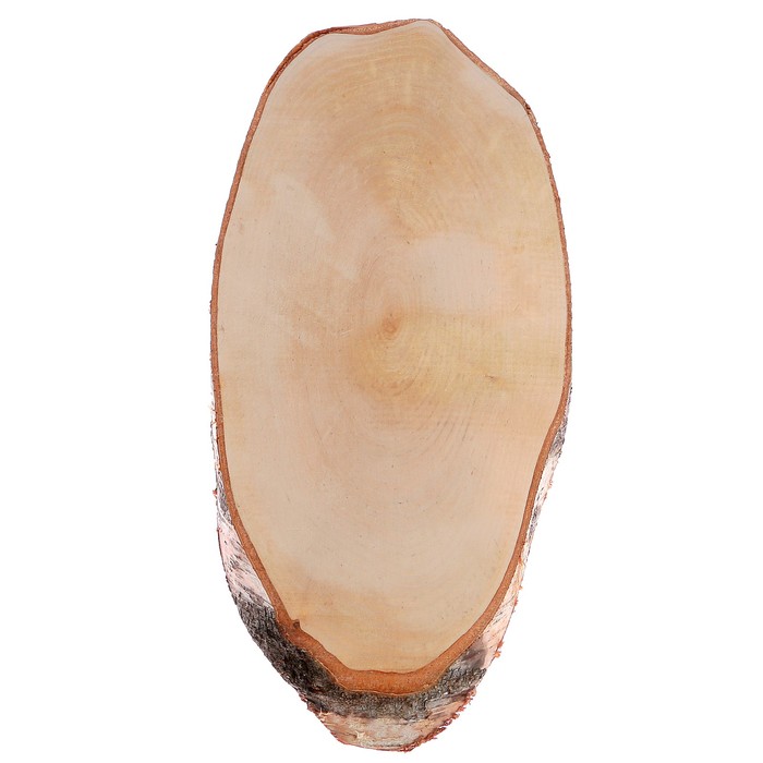Спил берёзы косой, шлифованный с одной стороны, 21х46см, толщина 1,5см
