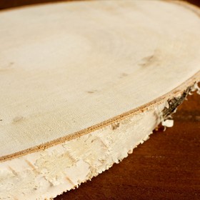 

Спил берёзы косой, шлифованный с одной стороны, 10х20см, толщина 1,5см
