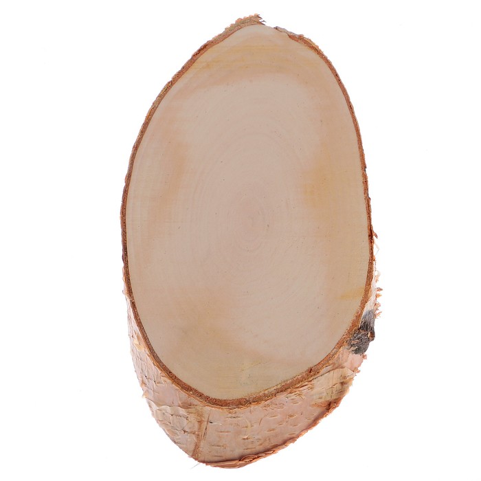 Спил берёзы косой, шлифованный с одной стороны, 13х25см, толщина 1,5см