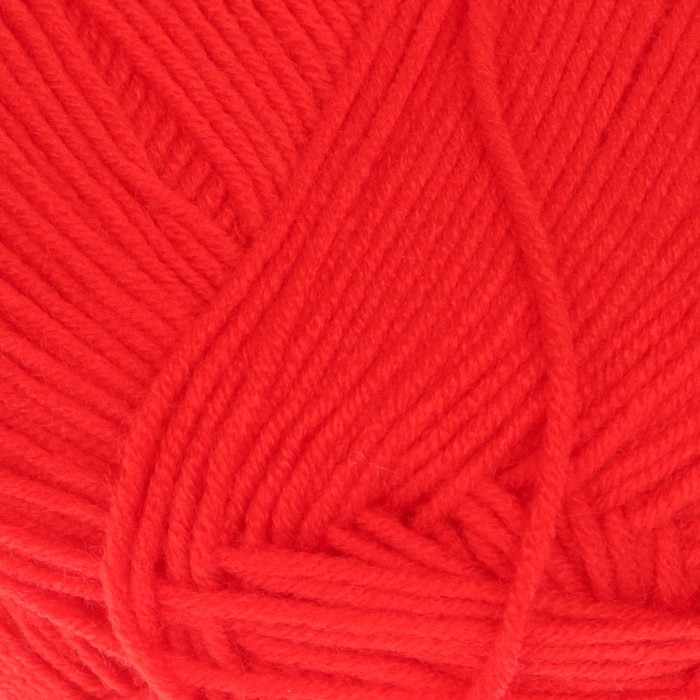 Пряжа "Детская объемная" 100% микрофибра 400м/100гр (244 алый)