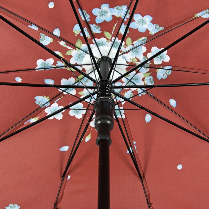 Зонт-трость "Танец сакуры", полуавтоматический, R=51см, цвет коричневый