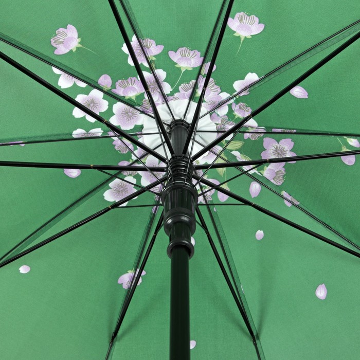 Зонт-трость "Танец сакуры", полуавтоматический, R=51см, цвет зелёный