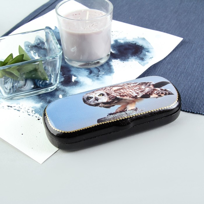 Футляр для очков "Сова", отдел на клапане, цвет чёрный