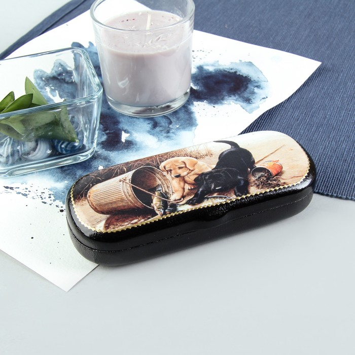 Футляр для очков "Улов", отдел на клапане, цвет чёрный