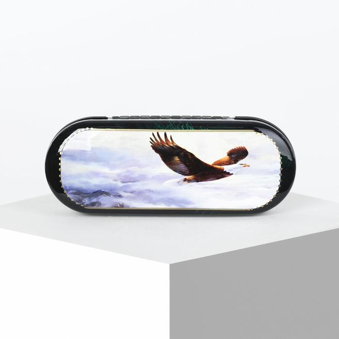 Футляр для очков "Орёл", цвет чёрный