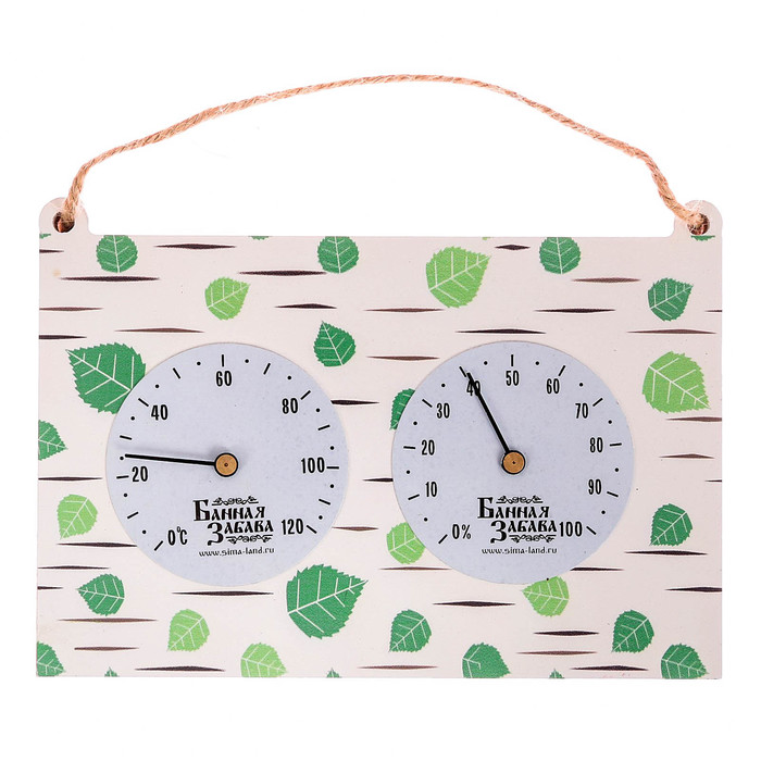 Термогигрометр "Берёза", 17 х 11 см