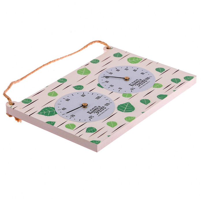 Термогигрометр "Берёза", 17 х 11 см