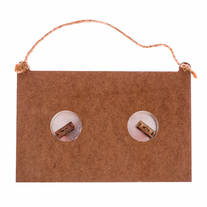 Термогигрометр "Лёгкого пара", 17 х 11 см